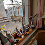 Photo n°37 de l'avis de Mia.o fait le 18/03/2024 à 19:10 sur le  Frühlingsgarten à Füssen