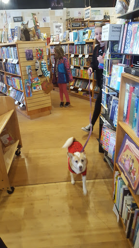 Book Store «Bookbug - An Independent Bookstore for All Ages», reviews and photos, 3019 Oakland Dr, Kalamazoo, MI 49008, USA