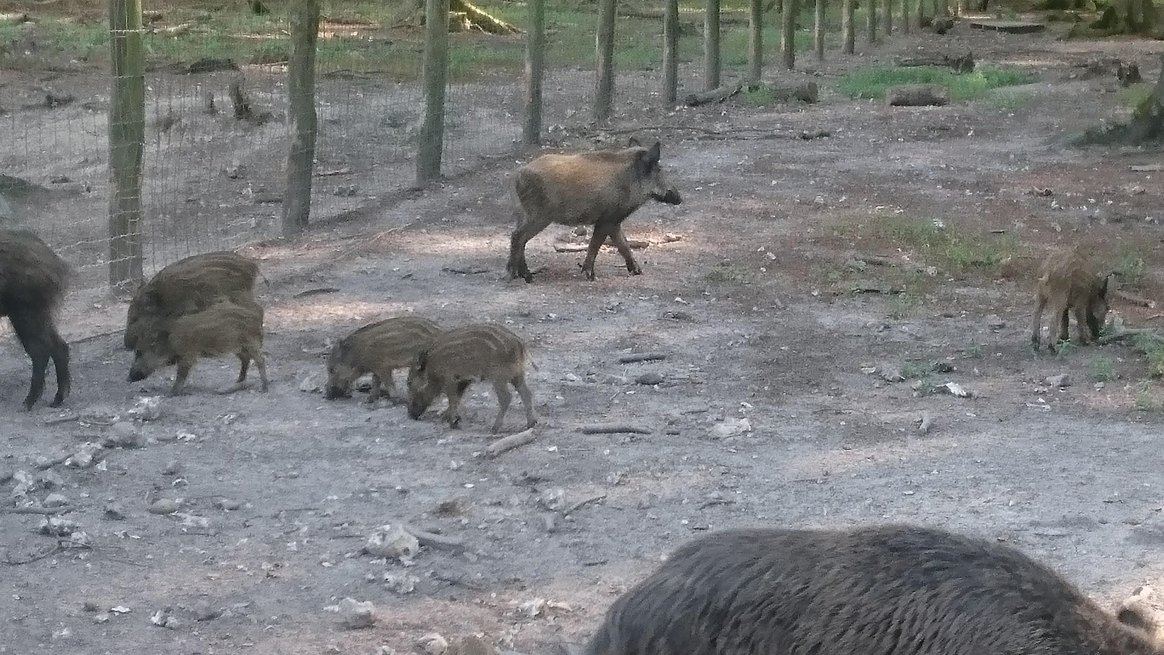 Photo n° 5 de l'avis de Nicolas.u fait le 26/07/2018 à 22:58