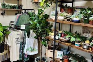 Plant People: A Botanical Boutique image