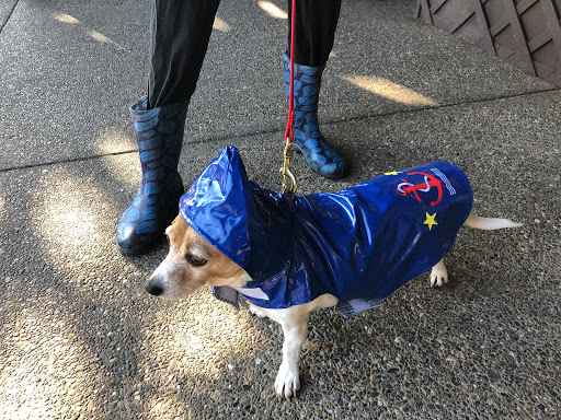 Pet Supply Store «Sonoma Pet and Aquatics», reviews and photos, 201 W Napa St #7, Sonoma, CA 95476, USA