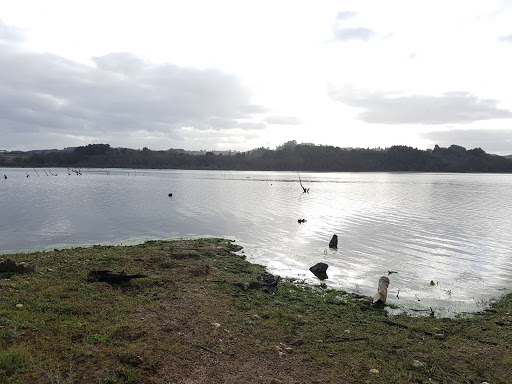 Información y opiniones sobre Cecebre – Volteiro de Cambre