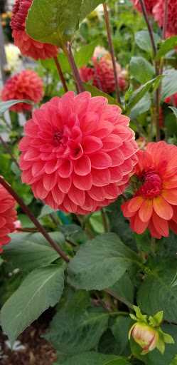 Canoe & Kayak Store «Olympic Outdoor Center», reviews and photos, 32379 N Rainier Ave, Port Gamble, WA 98364, USA