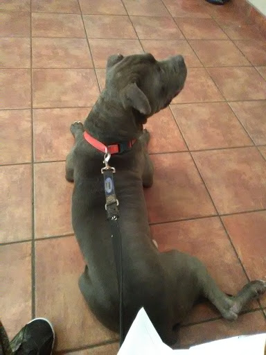 1400 Howell Mill Rd NW, Atlanta, GA 30318, USA