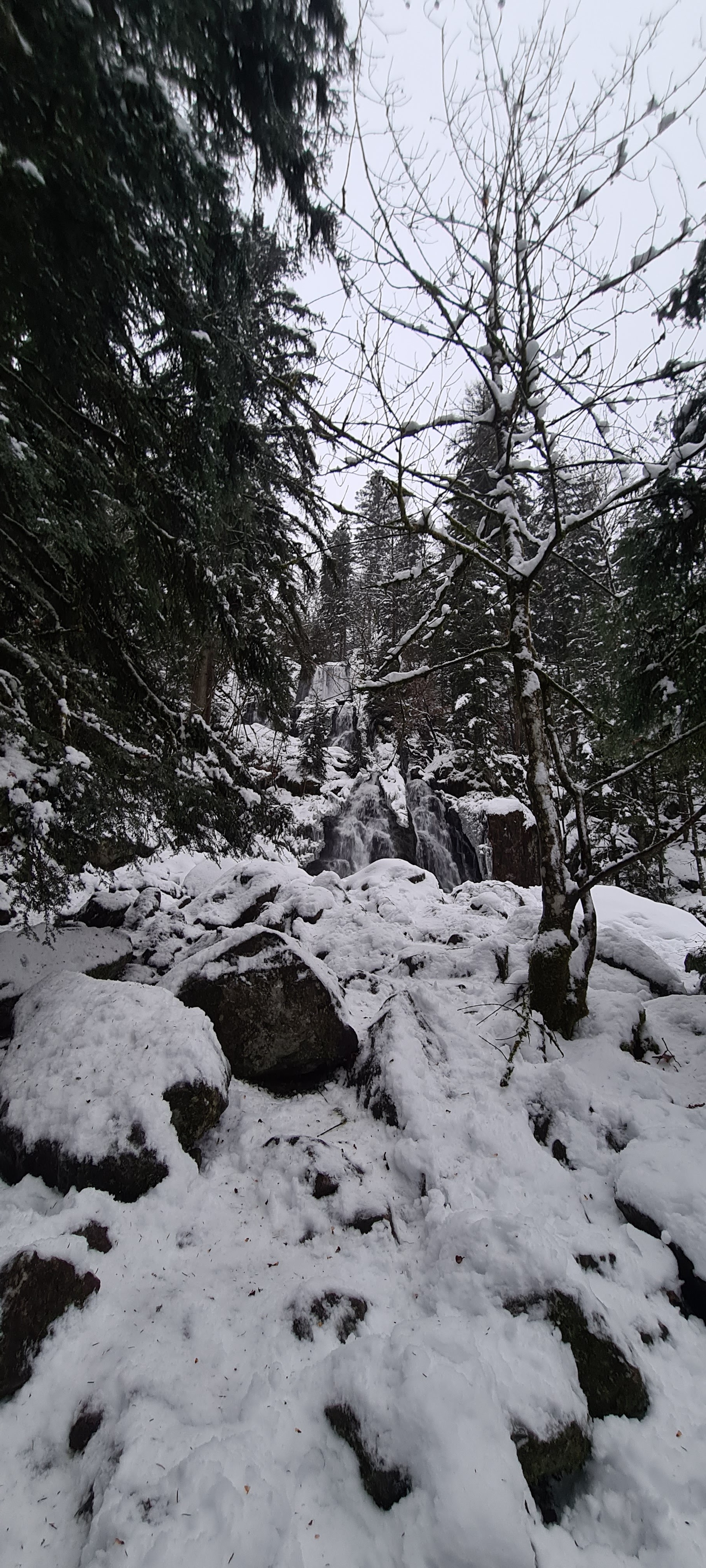 Photo n° 4 de l'avis de Ch'tite.s fait le 13/01/2021 à 16:15