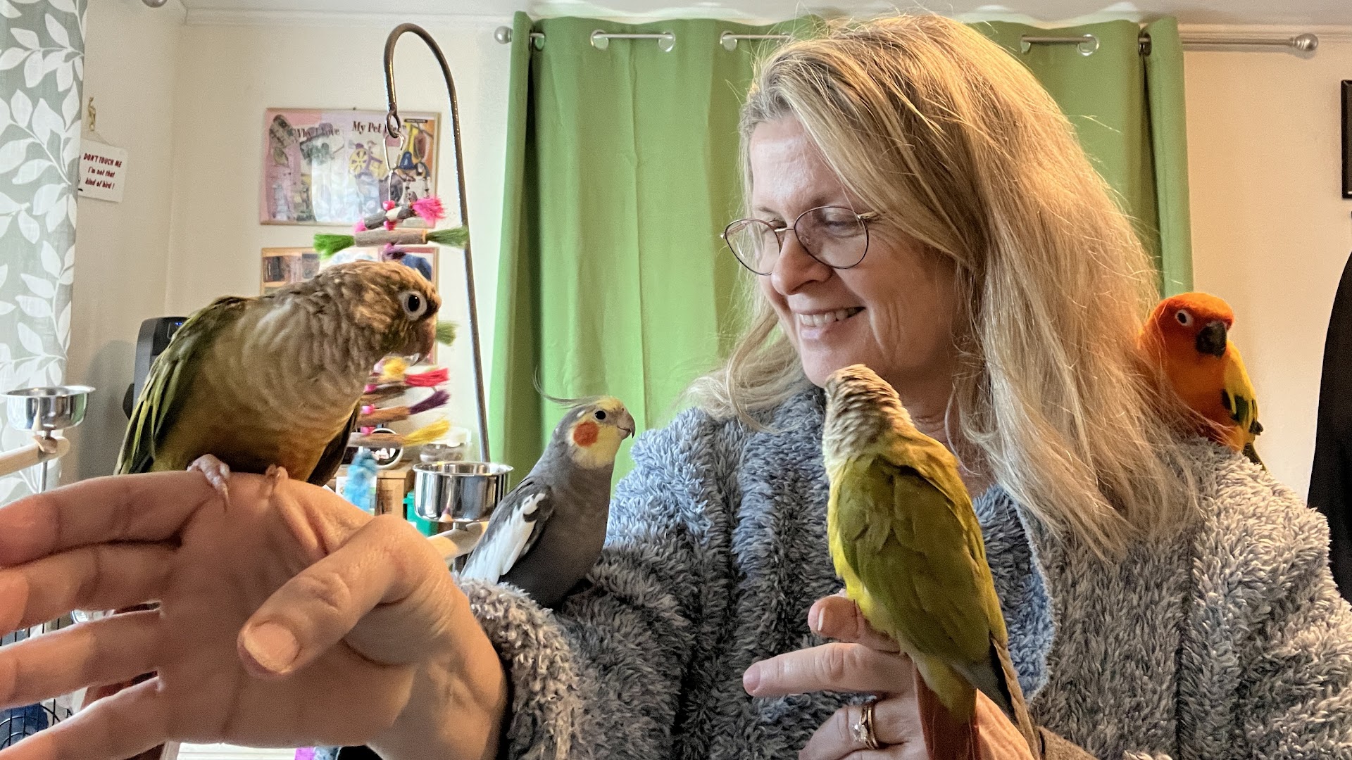 My Parrot Sitter - Premium Pet Care for Birds