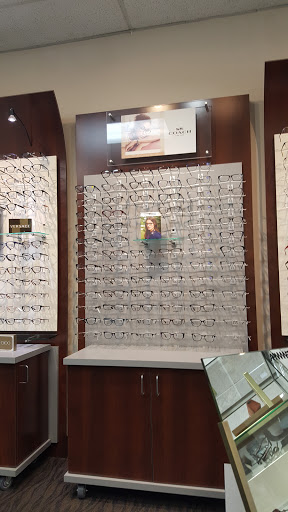 South Bay Optometry