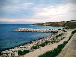 Photo de Plage Les Palmiers et le règlement