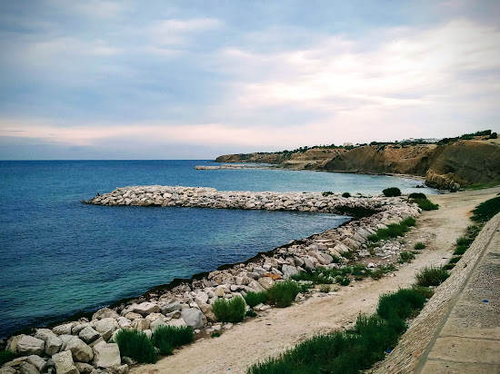 Plage Les Palmiers