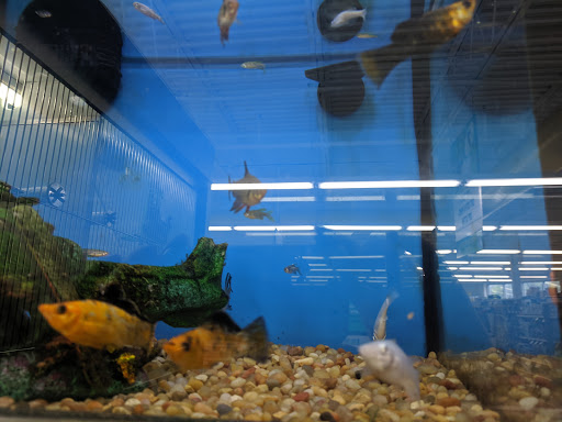 Pet Supply Store «Pet Supplies Plus», reviews and photos, 1240 Seminole Trail, Charlottesville, VA 22901, USA