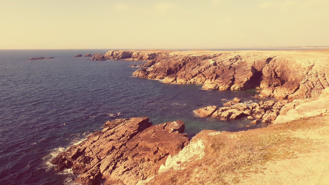 Photo n° 2 de l'avis de pat.i fait le 27/03/2019 à 18:12
