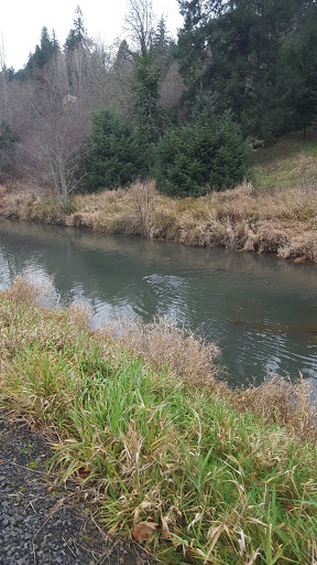 Golf Course «Mint Valley Golf Course», reviews and photos, 4002 Pennsylvania St, Longview, WA 98632, USA