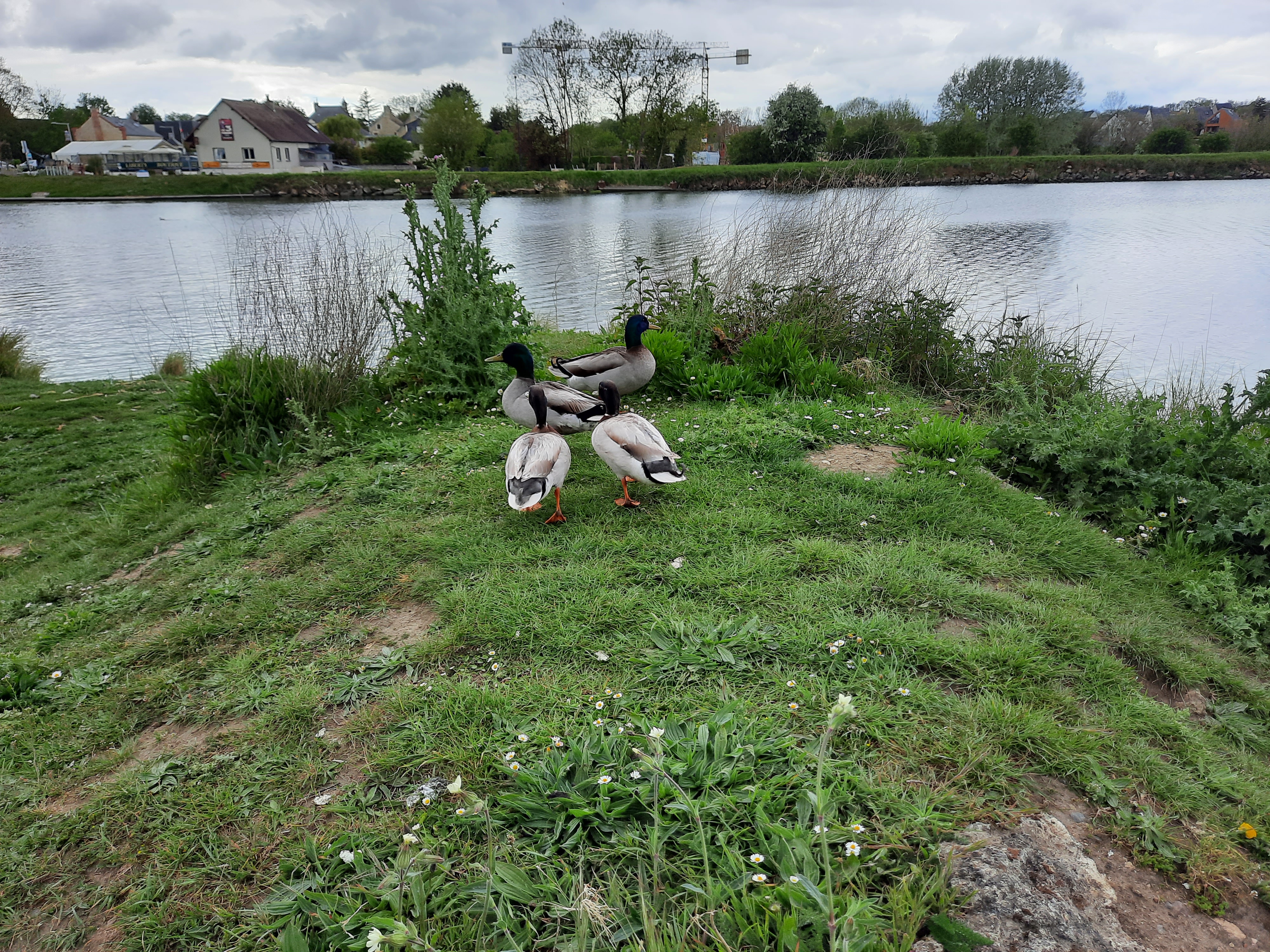 Photo n° 6 de l'avis de Sy.e fait le 14/05/2021 à 17:18