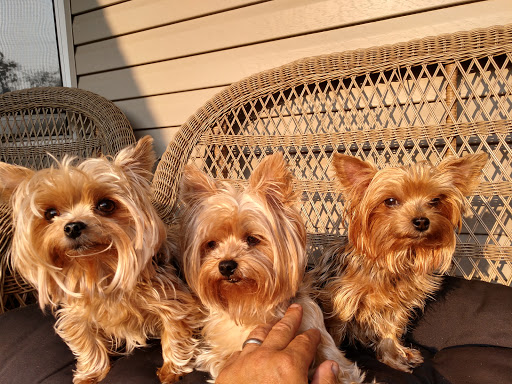 Locksmith «Ted Hall Locksmith», reviews and photos, 397 NJ-35, Red Bank, NJ 07701, USA