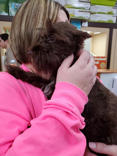 Pet Store «Petland», reviews and photos, 1600 Turner McCall Blvd, Rome, GA 30161, USA