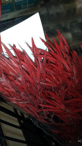 Craft Store «Michaels», reviews and photos, 105 Plaza Dr, Vallejo, CA 94591, USA