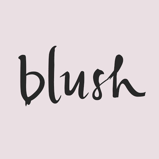 Bridal Shop «Blush Bridal Boutique», reviews and photos, 292 Wall St, Kingston, NY 12401, USA