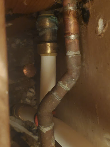 Plumber «Roto-Rooter Plumbing & Drain Services», reviews and photos, 1035 SW Biltmore St, Port St Lucie, FL 34983, USA