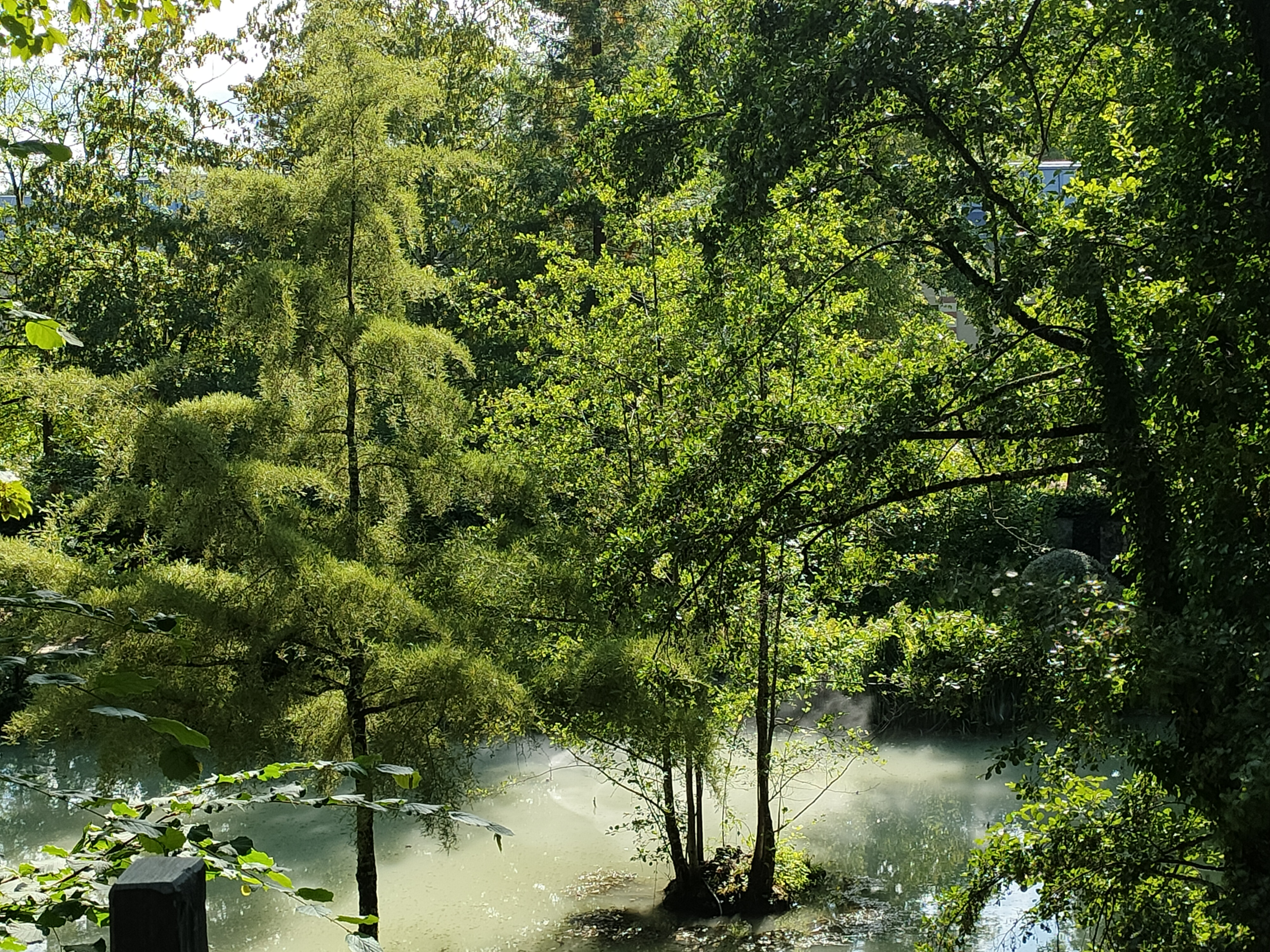 Photo n° 4 de l'avis de Sophie.a fait le 28/07/2023 à 17:25