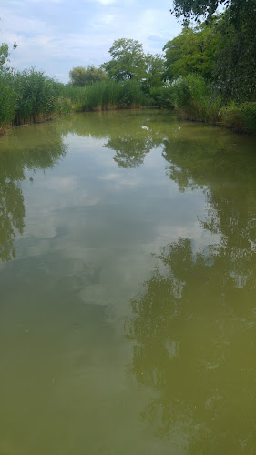 Pék-tó - Kalocsa