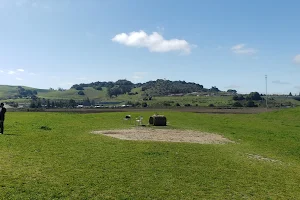 Rocky Memorial Dog Park image