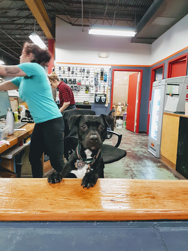 Rock Climbing Gym «The Cliffs at Valhalla», reviews and photos, 1 Commerce St, Valhalla, NY 10595, USA