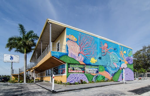 Pet Store «Fins and Skins», reviews and photos, 8451 49th St N, Pinellas Park, FL 33781, USA