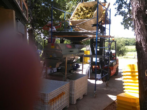 Winery «Brushy Creek Vineyards», reviews and photos, 572 Co Rd 2798, Alvord, TX 76225, USA