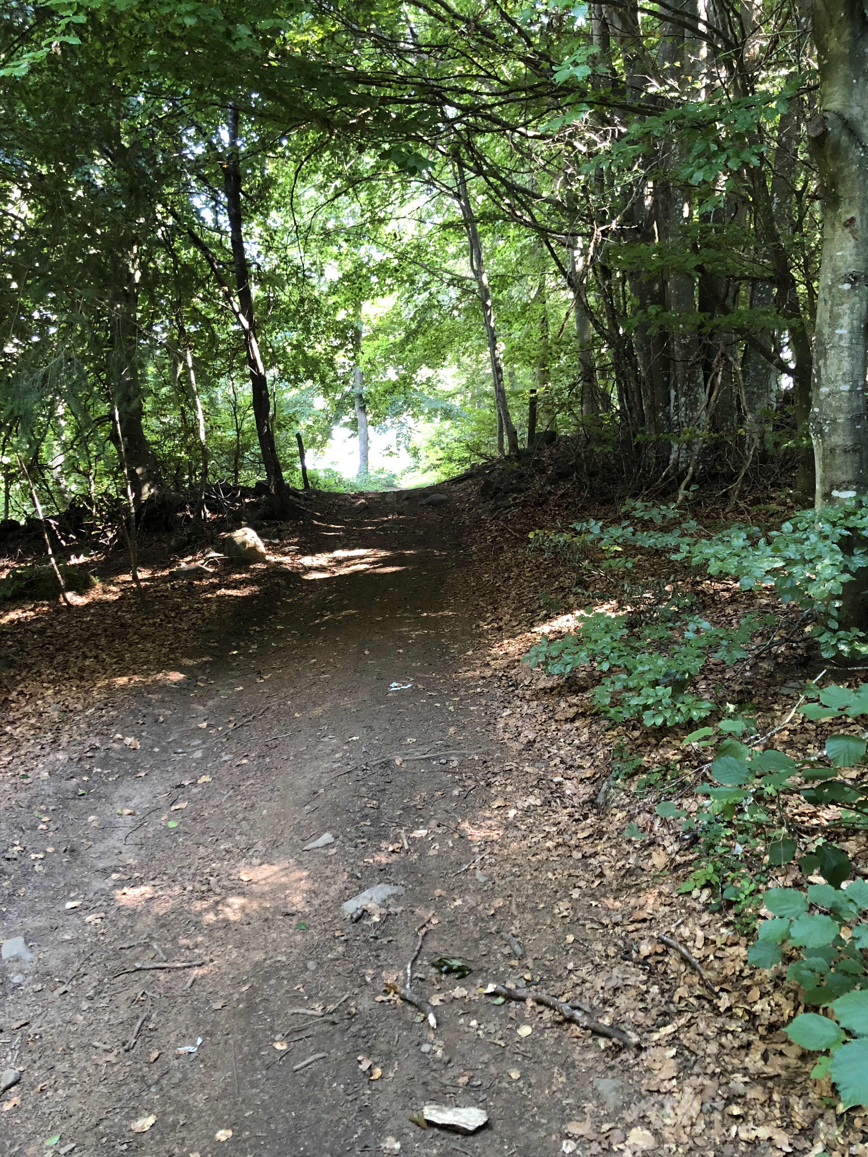 Photo n° 17 de l'avis de Alexandre.a fait le 11/11/2022 à 21:39