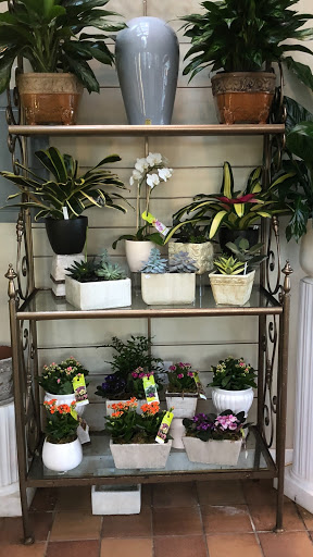 Florist «Bruce Flowers», reviews and photos, 454 Main Ave, Norwalk, CT 06851, USA