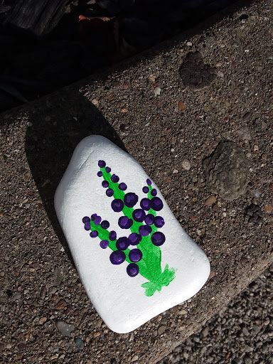 Supermarket «Giant Eagle Supermarket», reviews and photos, 4010 Monroeville Blvd, Monroeville, PA 15146, USA