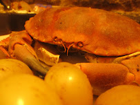 Vrais crabes du Restaurant de crabe Le Crabe Marteau à Brest - n°19