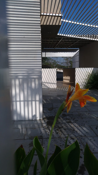 Google Maps image 15