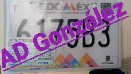 Gestión vehicular del Edomex AD González