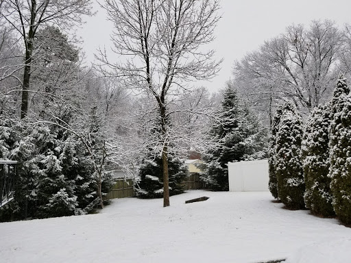 Storage Facility «Extra Space Storage», reviews and photos, 169 Littleton Rd, Parsippany, NJ 07054, USA