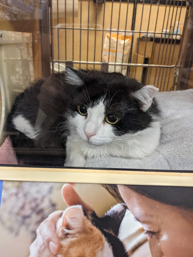 PetSmart image