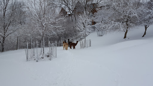 Boutique «Alpacas of the Heartland LLC», reviews and photos, 7016 County Rd 39, Fort Calhoun, NE 68023, USA