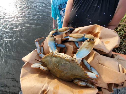Seafood Market «Bonney & Sons Seafood And Produce», reviews and photos, 1973 Indian River Rd, Virginia Beach, VA 23456, USA
