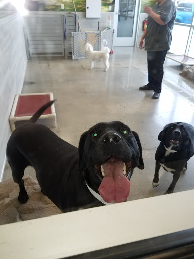 Pet Store «PetSmart», reviews and photos, 441 Elizabeth Ave, Somerset, NJ 08873, USA