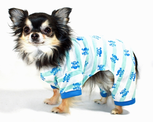 Pet Supply Store «Posh Pet Glamour Boutique», reviews and photos, 19 N Riverside Ave, Terryville, CT 06786, USA