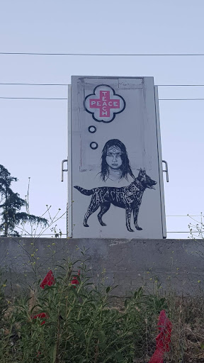 Produce Market «Topanga Creek General Store», reviews and photos, 141 S Topanga Canyon Blvd, Topanga, CA 90290, USA