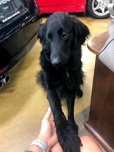 Car Dealer «Hollingsworth Auto Sales of Raleigh», reviews and photos, 3808 Capital Blvd, Raleigh, NC 27604, USA