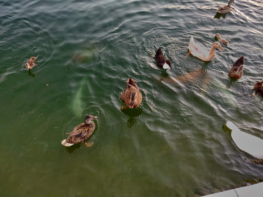 Shopping Mall «Shops At Dos Lagos», reviews and photos, 2780 Cabot Dr #140, Corona, CA 92883, USA