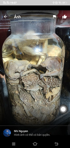 Top 20 khách sạn mới Huyện Bù Gia Mập Bình Phước 2022