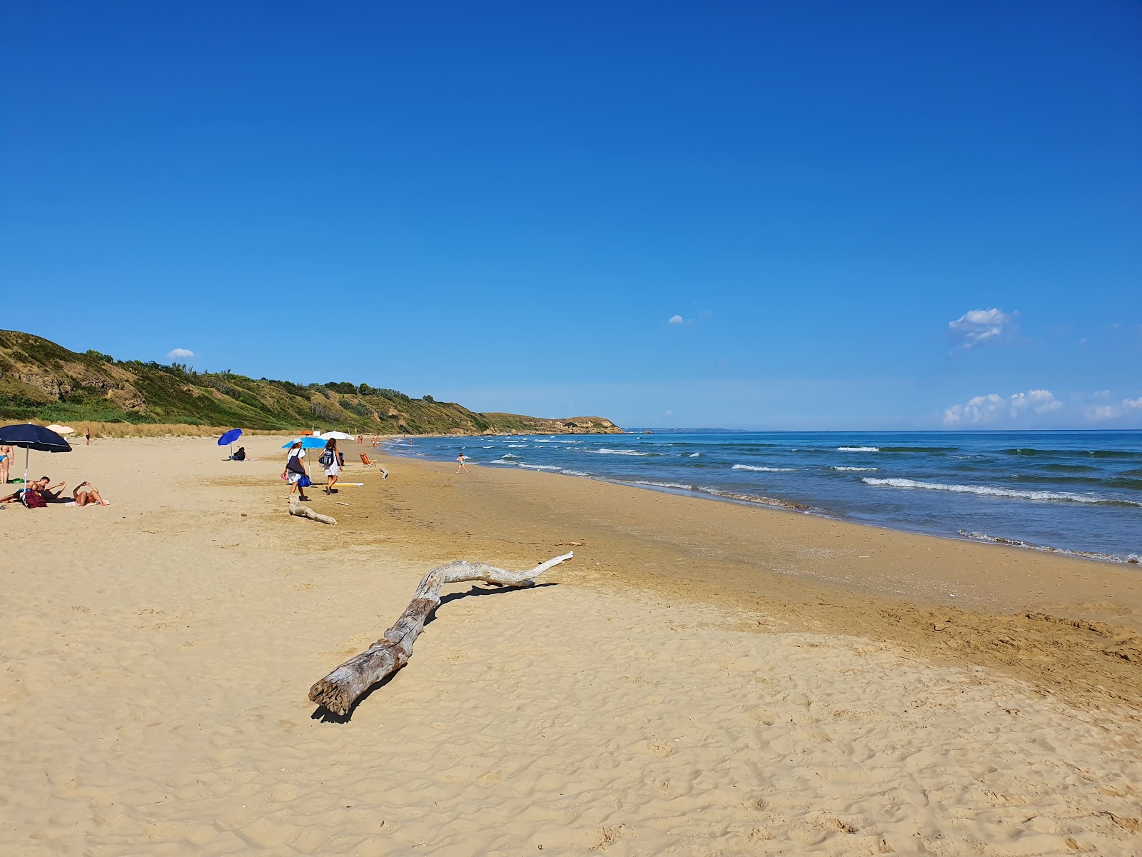 Foto di Spiaggia di Punta Penna con baia grande