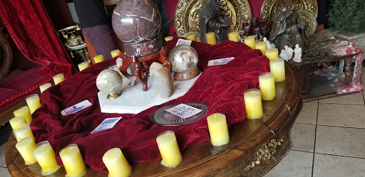 Explore cactus tattoo ideas, creative tattoo ideas in Salt Lake City, available at Gypsie Soul Tattoo