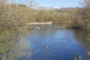 Netherwood Country Park image