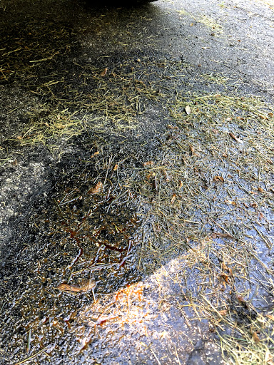 Auto Repair Shop «Car-X Tire & Auto», reviews and photos, 432 N Monroe St, Mooresville, IN 46158, USA