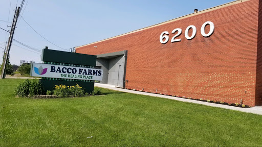 Bacco Farms Cannabis Dispensary & Delivery