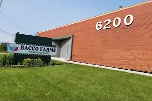 Bacco Farms Weed Dispensary image